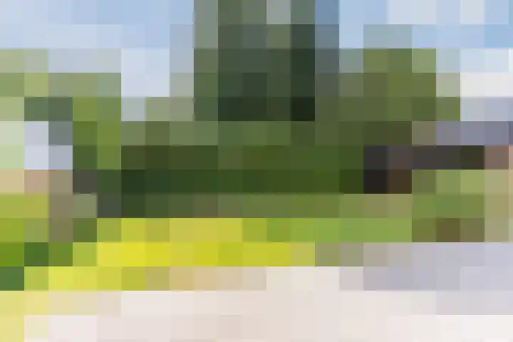 Joseph Schulteweg 13 Steensel thumbnail 44