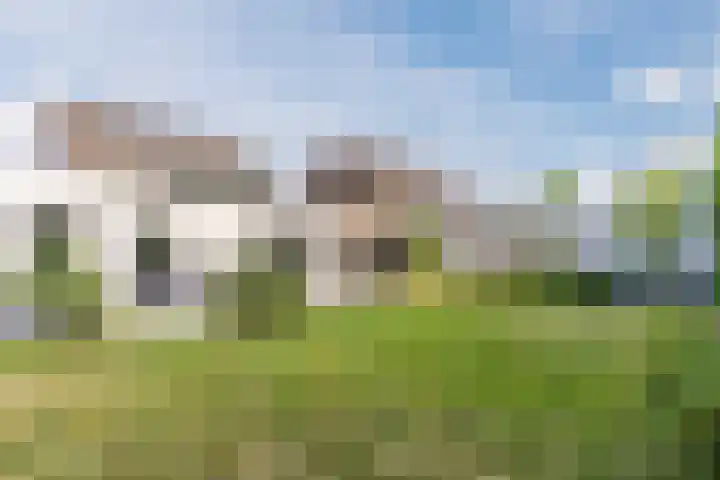 Joseph Schulteweg 13 Steensel thumbnail 46