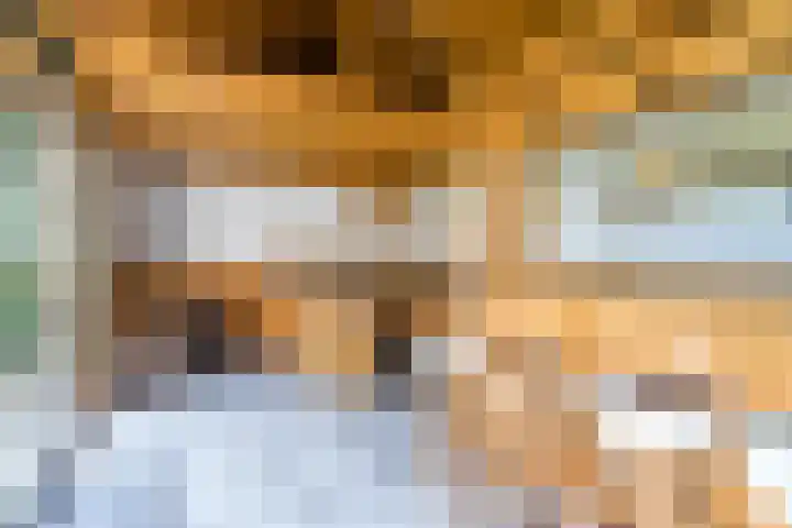 Joseph Schulteweg 13 Steensel thumbnail 47