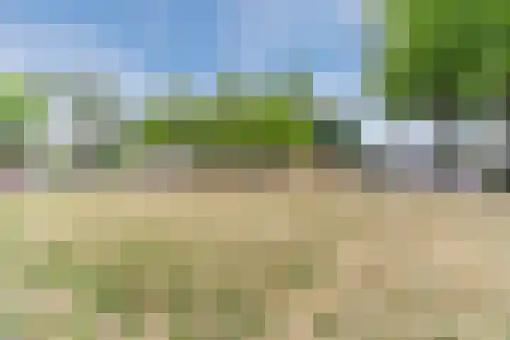 Joseph Schulteweg 13 Steensel thumbnail 50