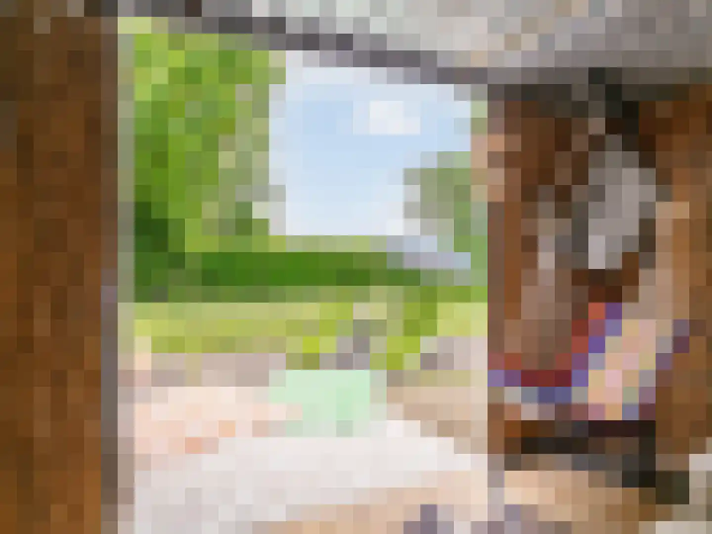 Joseph Smeetslaan 313 Arriën thumbnail 26
