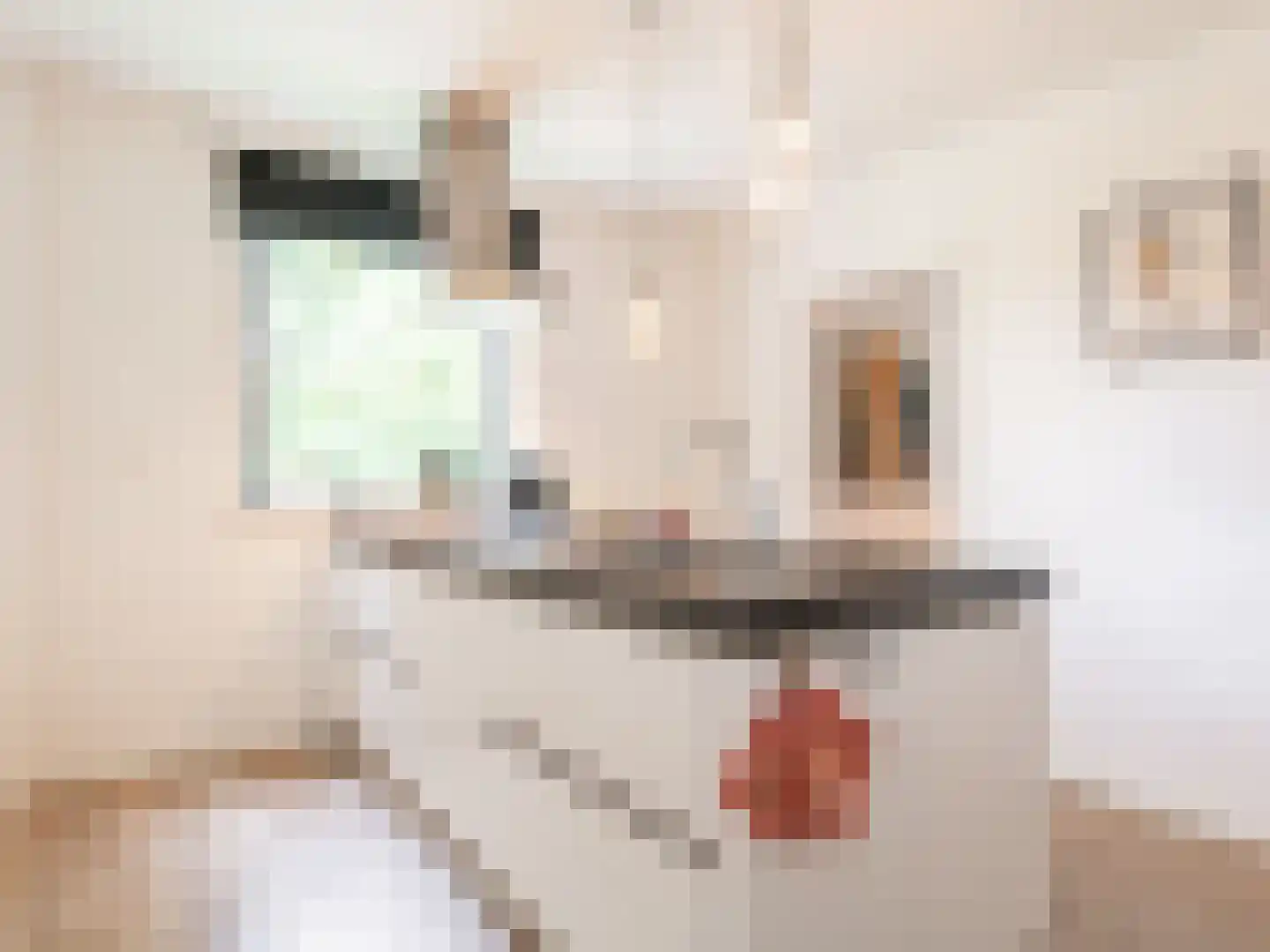 Joseph Smeetslaan 313 Arriën thumbnail 8