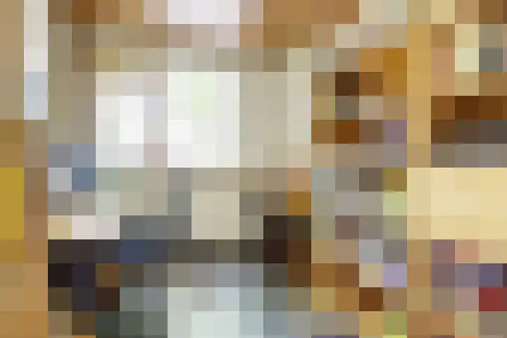 Joseph van Dingenenstraat 5 Hapert thumbnail 11