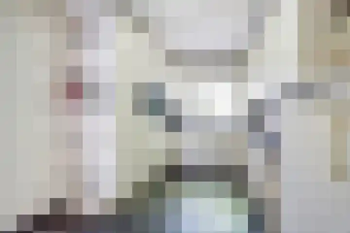 Joseph van Dingenenstraat 5 Hapert thumbnail 13