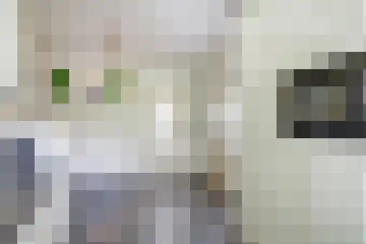 Joseph van Dingenenstraat 5 Hapert thumbnail 14