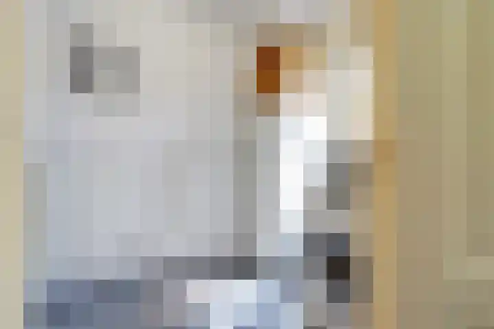 Joseph van Dingenenstraat 5 Hapert thumbnail 15