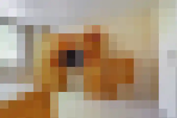 Joseph van Dingenenstraat 5 Hapert thumbnail 21
