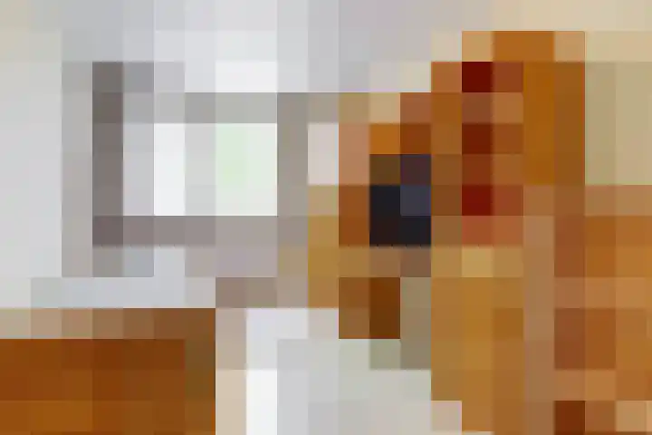 Joseph van Dingenenstraat 5 Hapert thumbnail 22