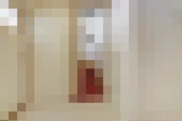 Joseph van Dingenenstraat 5 Hapert thumbnail 26