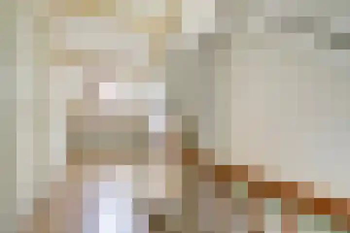 Joseph van Dingenenstraat 5 Hapert thumbnail 27