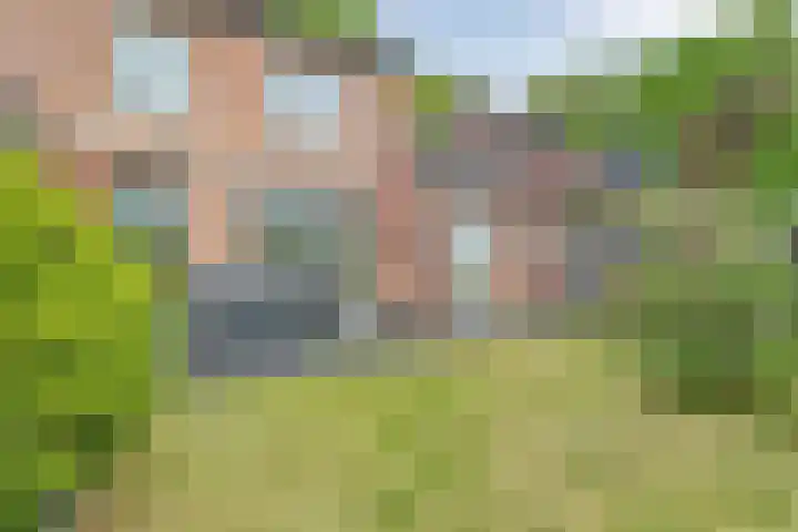 Joseph van Dingenenstraat 5 Hapert thumbnail 33
