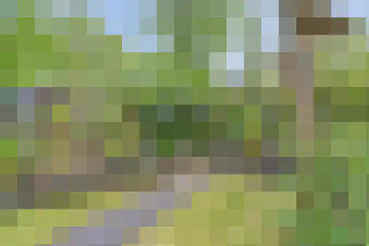 Joseph van Dingenenstraat 5 Hapert thumbnail 36