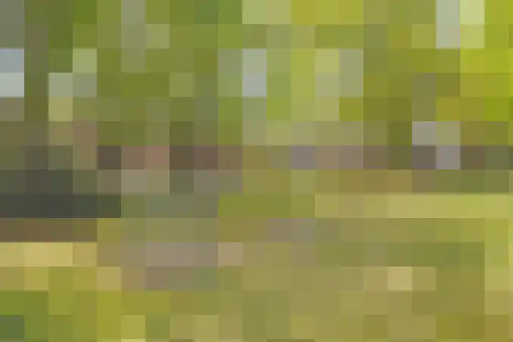 Joseph van Dingenenstraat 5 Hapert thumbnail 37