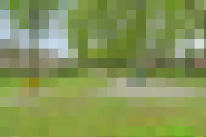 Joseph van Dingenenstraat 5 Hapert thumbnail 38