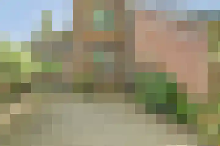 Joseph van Dingenenstraat 5 Hapert thumbnail 4