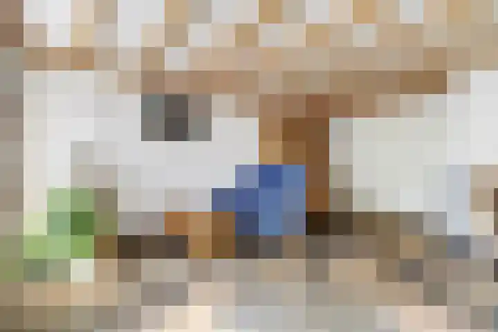 Joseph van Dingenenstraat 5 Hapert thumbnail 7