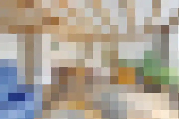 Joseph van Dingenenstraat 5 Hapert thumbnail 9