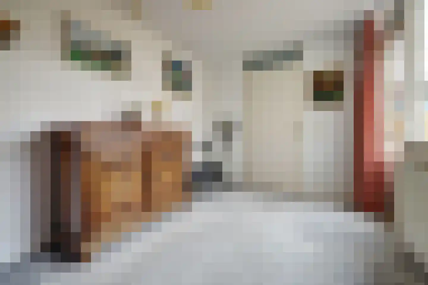 Josephine van Gasterenstraat 9 Spijkenisse thumbnail 16