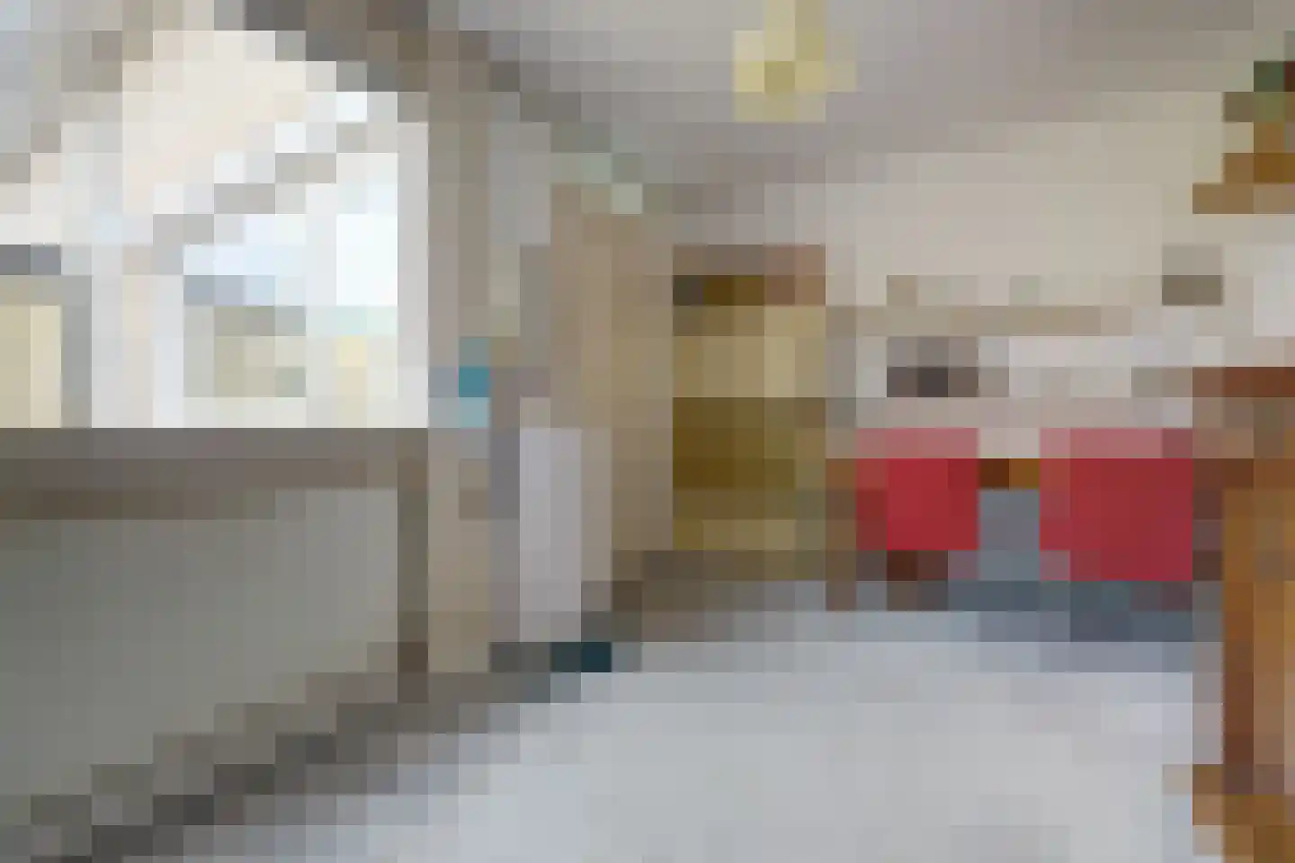 Josephine van Gasterenstraat 9 Spijkenisse thumbnail 17