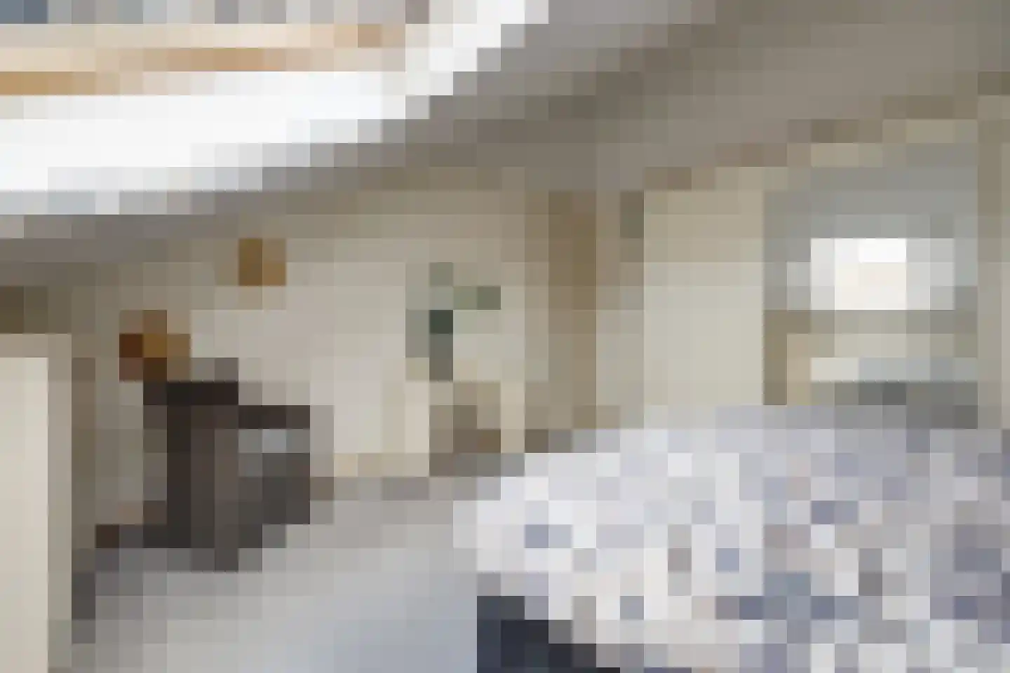 Josephine van Gasterenstraat 9 Spijkenisse thumbnail 21