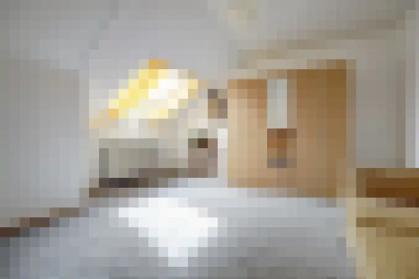 Josephine van Gasterenstraat 9 Spijkenisse thumbnail 22