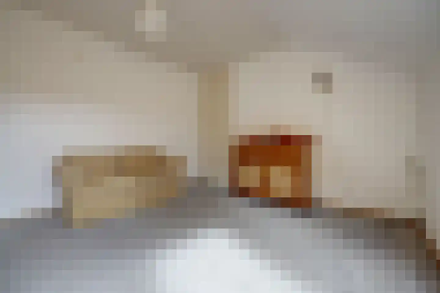 Josephine van Gasterenstraat 9 Spijkenisse thumbnail 23