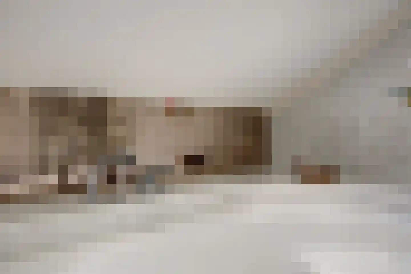 Josephine van Gasterenstraat 9 Spijkenisse thumbnail 27
