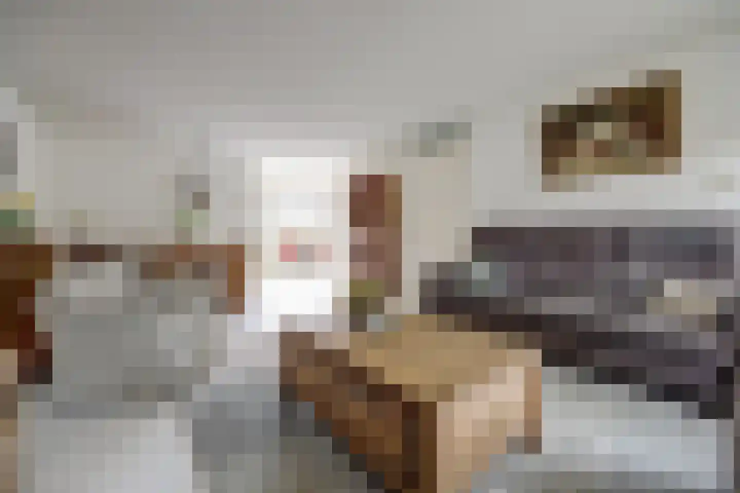 Josephine van Gasterenstraat 9 Spijkenisse thumbnail 4