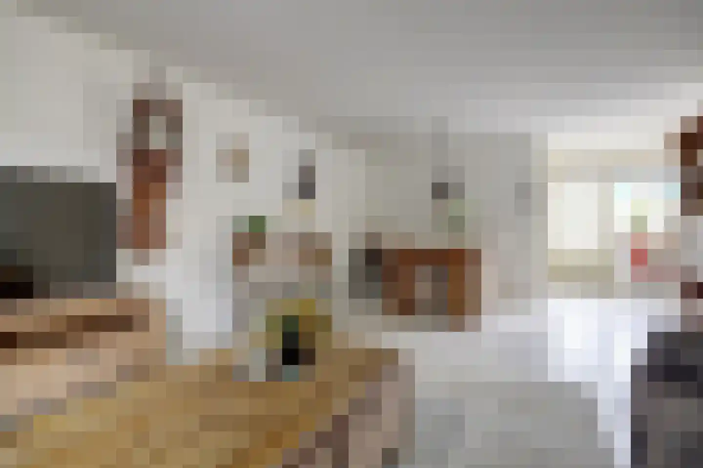 Josephine van Gasterenstraat 9 Spijkenisse thumbnail 5