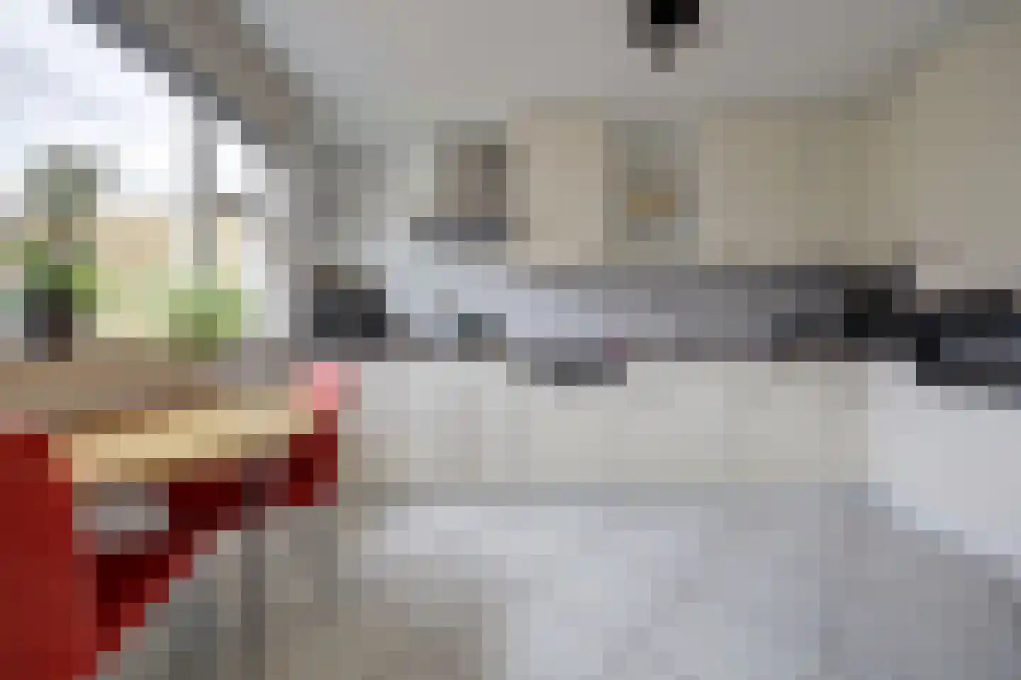 Josephine van Gasterenstraat 9 Spijkenisse thumbnail 7