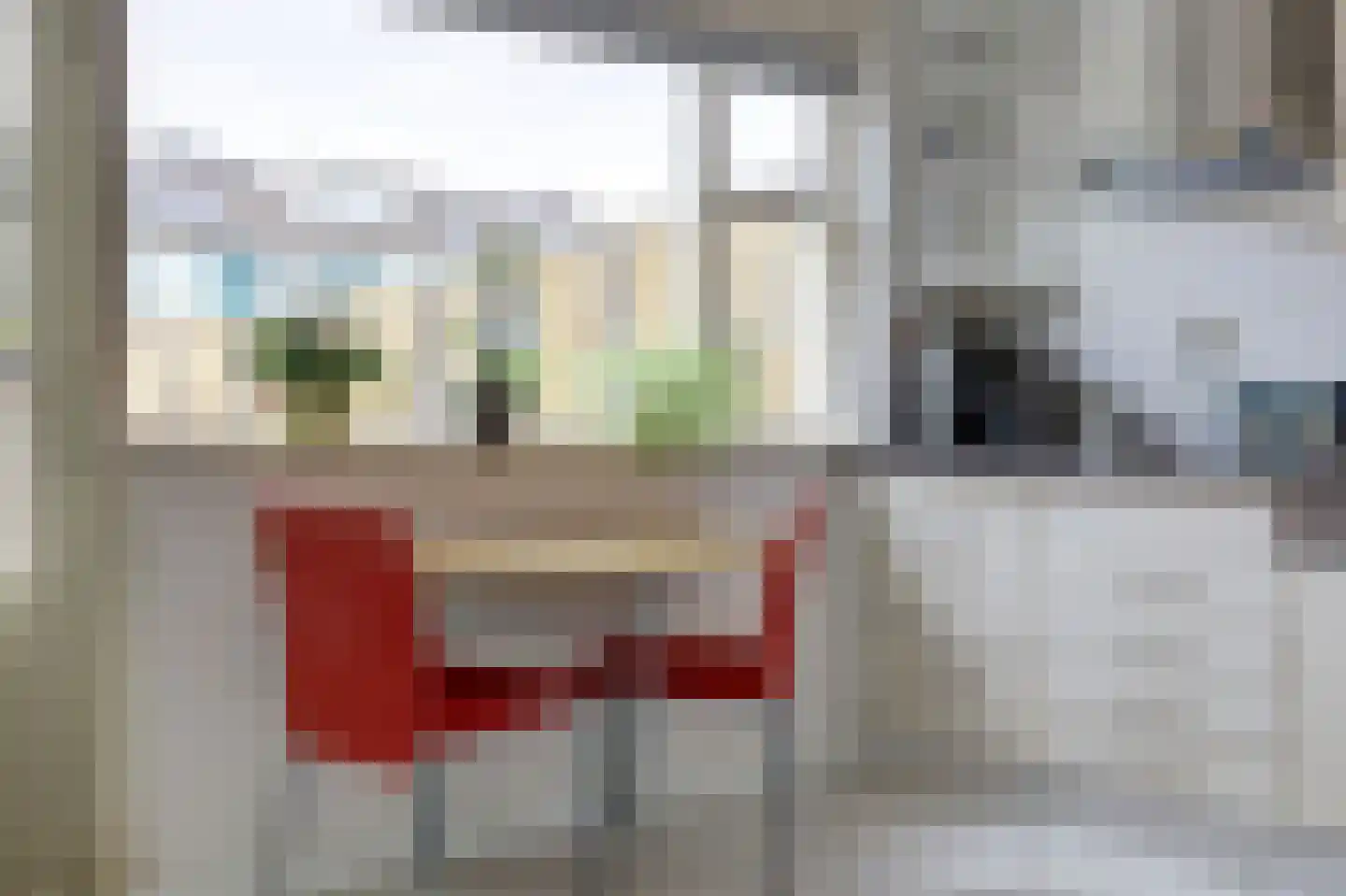 Josephine van Gasterenstraat 9 Spijkenisse thumbnail 8