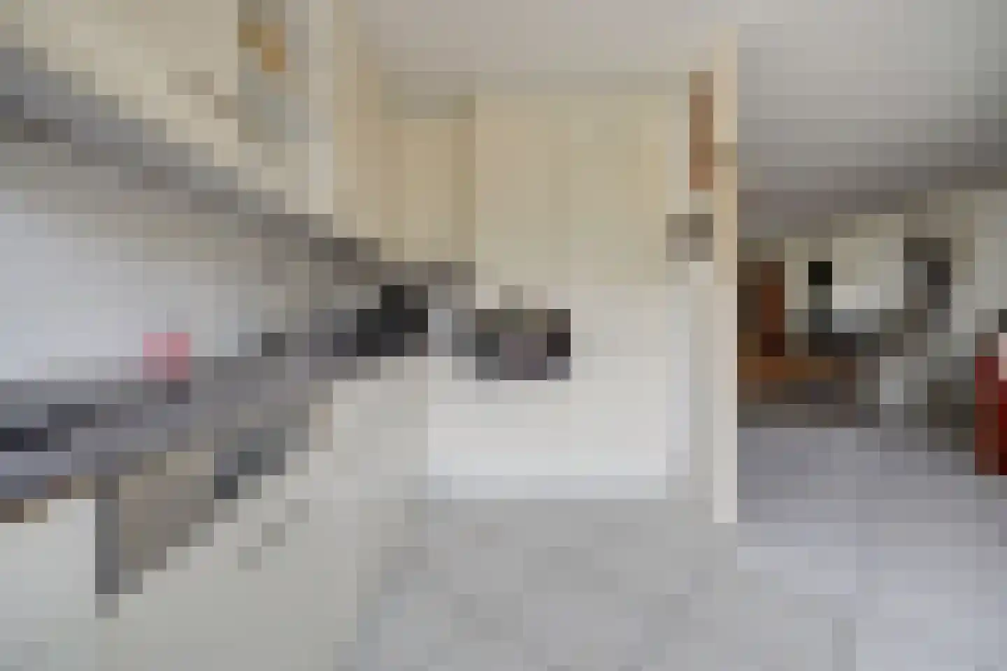 Josephine van Gasterenstraat 9 Spijkenisse thumbnail 9