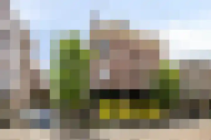 Josephstraat 1 B Rotterdam thumbnail 27