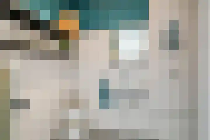 Josephstraat 111 Rotterdam thumbnail 19