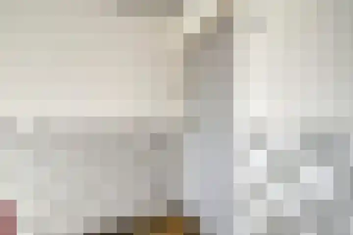 Josephstraat 111 Rotterdam thumbnail 6