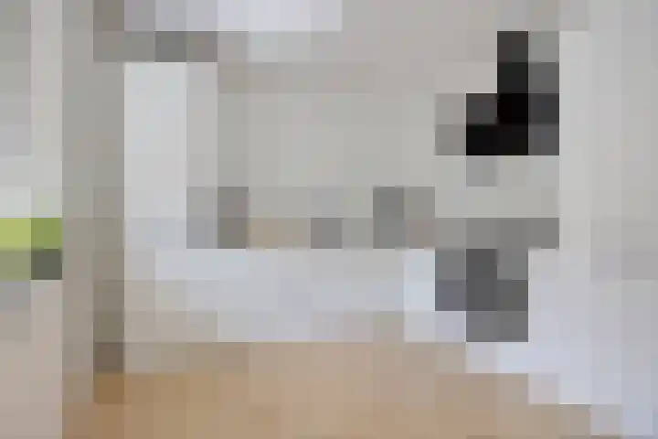 Josephstraat 151 Rotterdam thumbnail 10