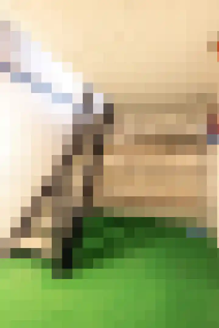 Josephstraat 8 Nuth thumbnail 19