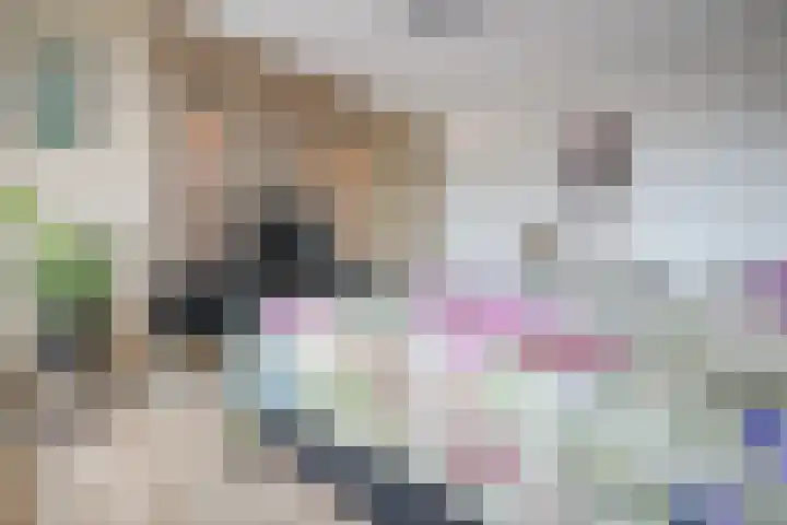 Josephus Alberdingk Thijmlaan 5 Goirle thumbnail 26
