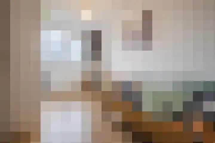 Josephus Alberdingk Thijmlaan 5 Goirle thumbnail 27