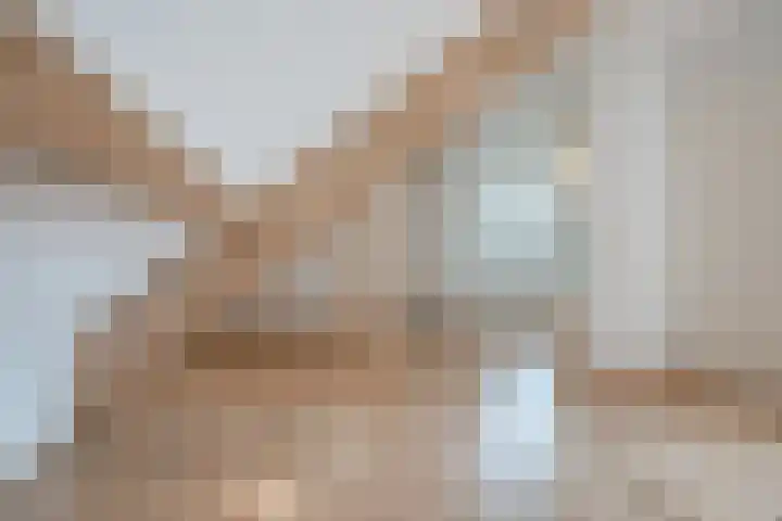 Josephus Alberdingk Thijmlaan 5 Goirle thumbnail 39