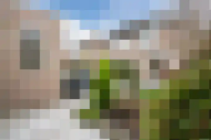 Josephus Alberdingk Thijmlaan 5 Goirle thumbnail 46