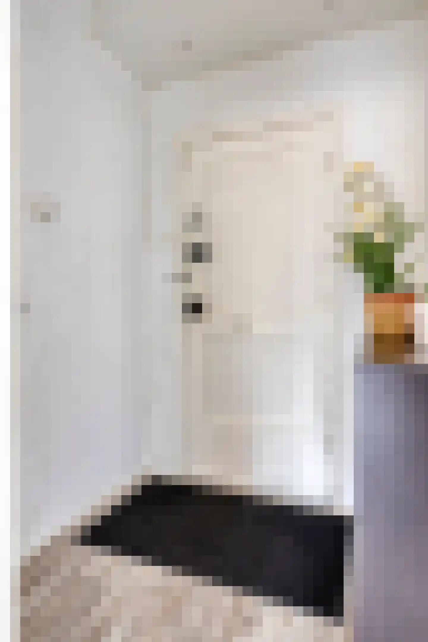 Josephus Jittastraat 2 Amsterdam thumbnail 4