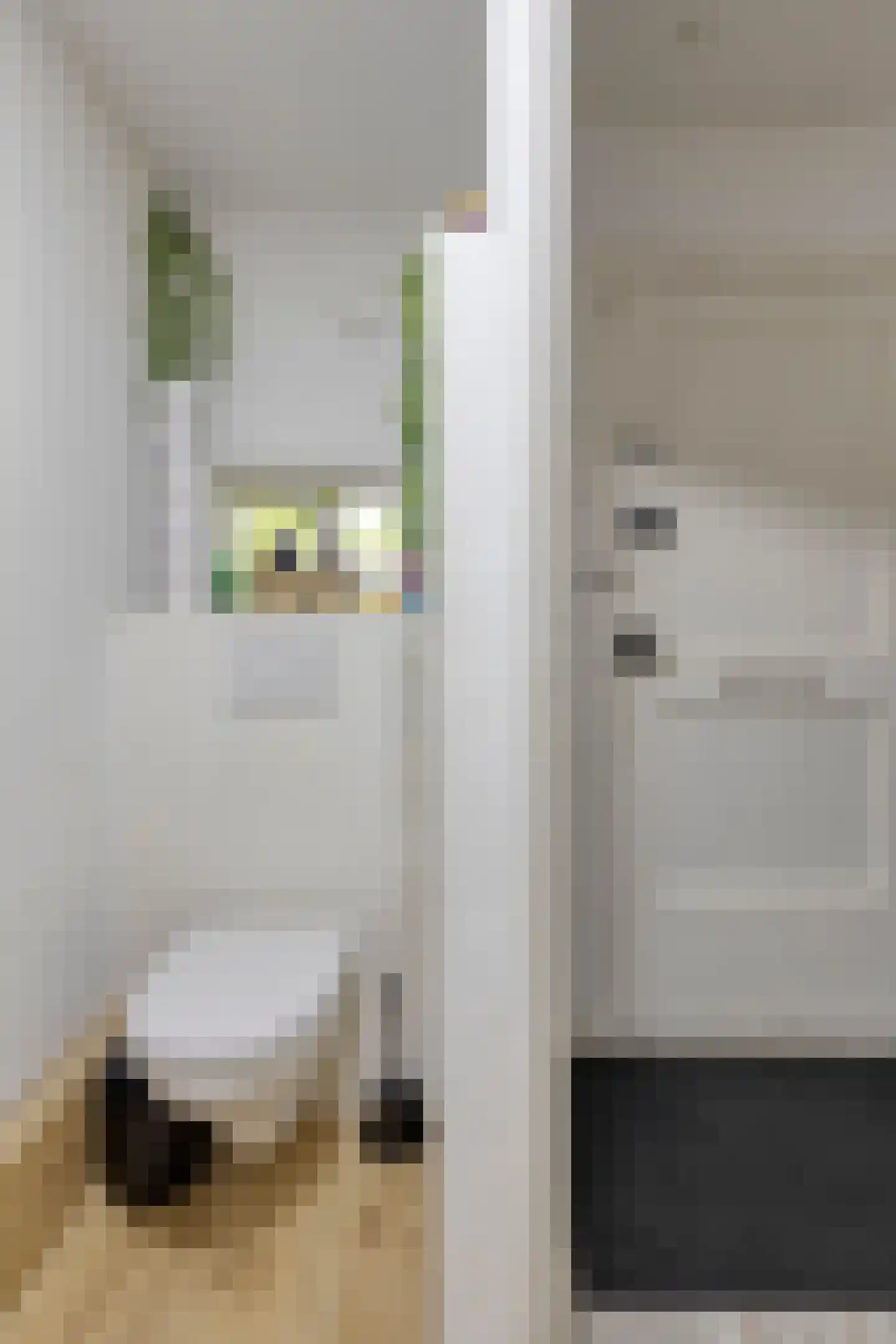 Josephus Jittastraat 2 Amsterdam thumbnail 6