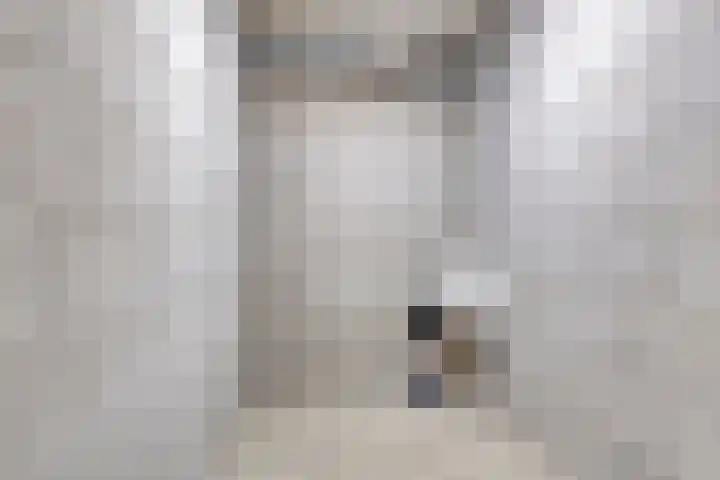 Josephus Swolfsstraat 1 Zaandam thumbnail 23