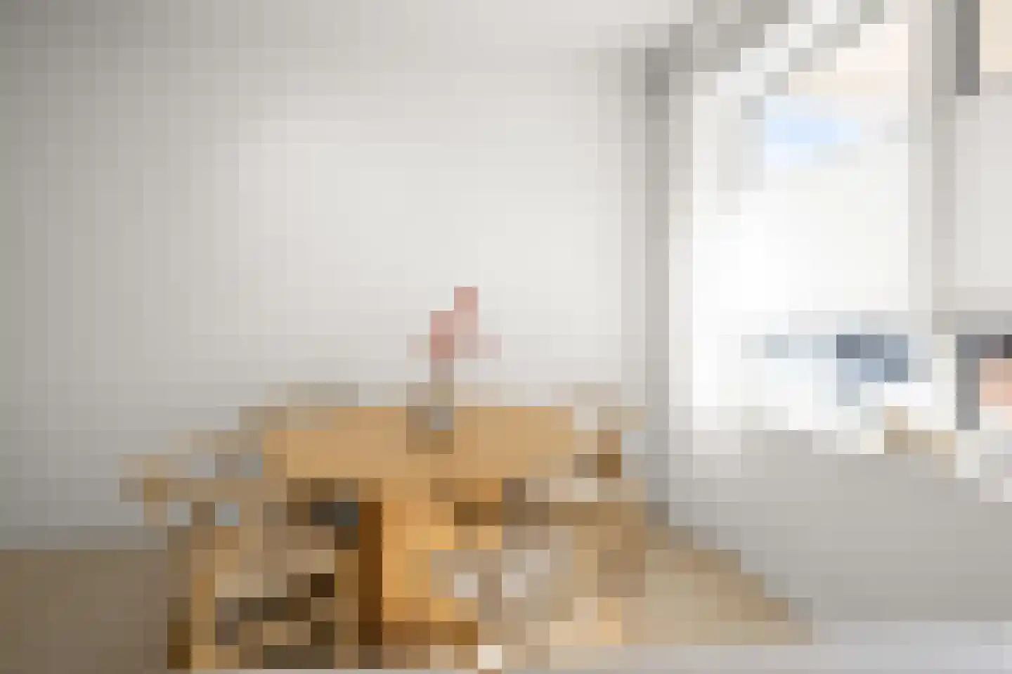Josephus Swolfsstraat 7 Zaandam thumbnail 14