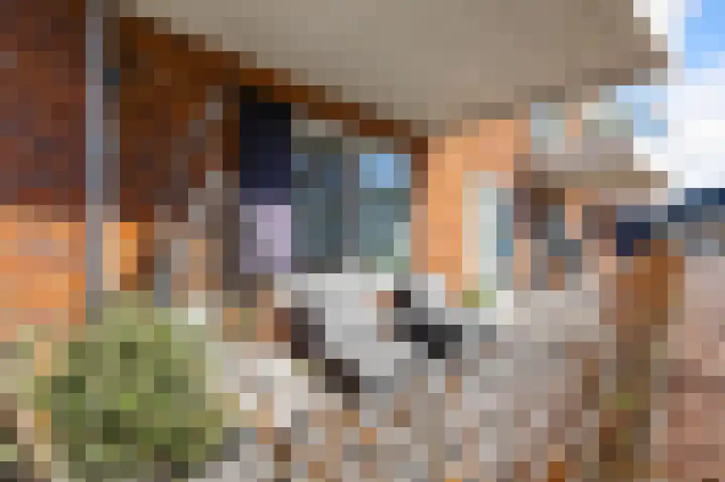Josephus Swolfsstraat 7 Zaandam thumbnail 34