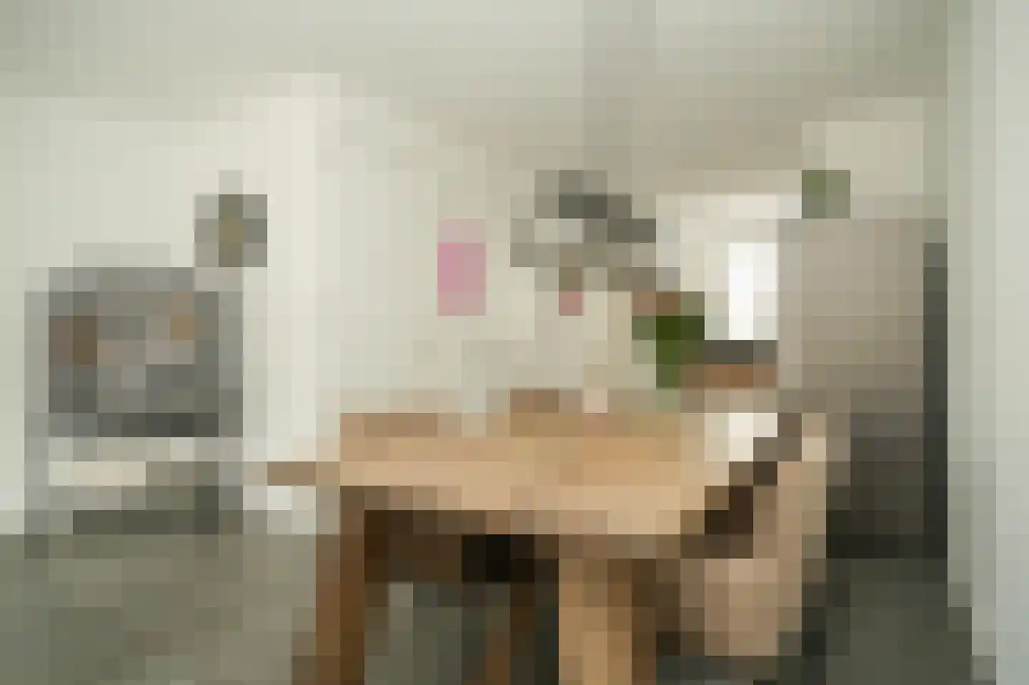 Josinahof 11 Meteren thumbnail 10