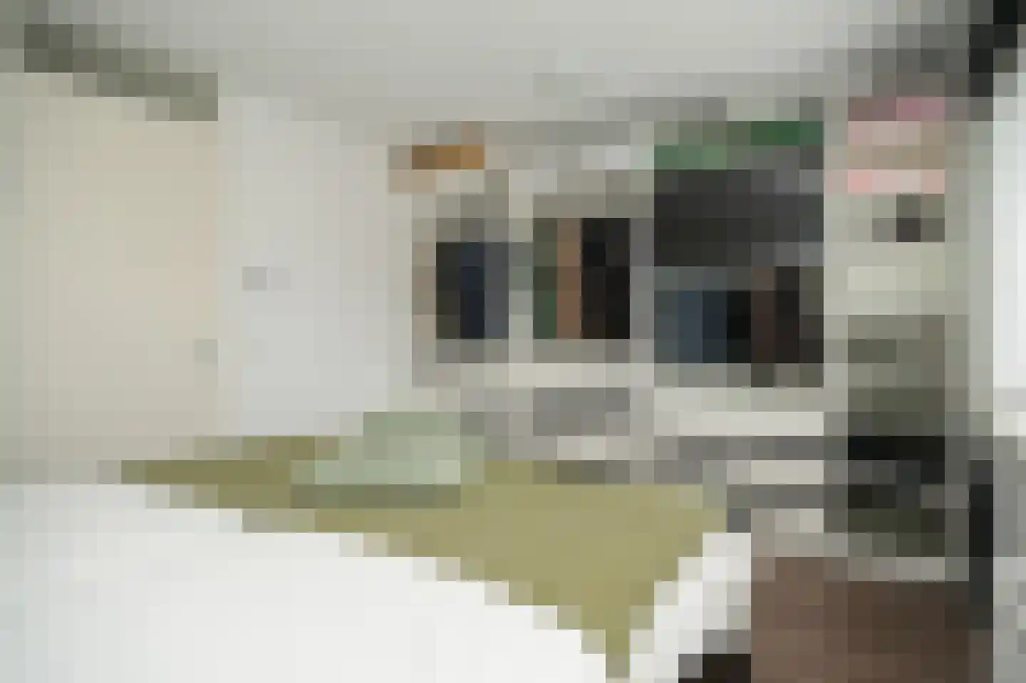 Josinahof 11 Meteren thumbnail 17