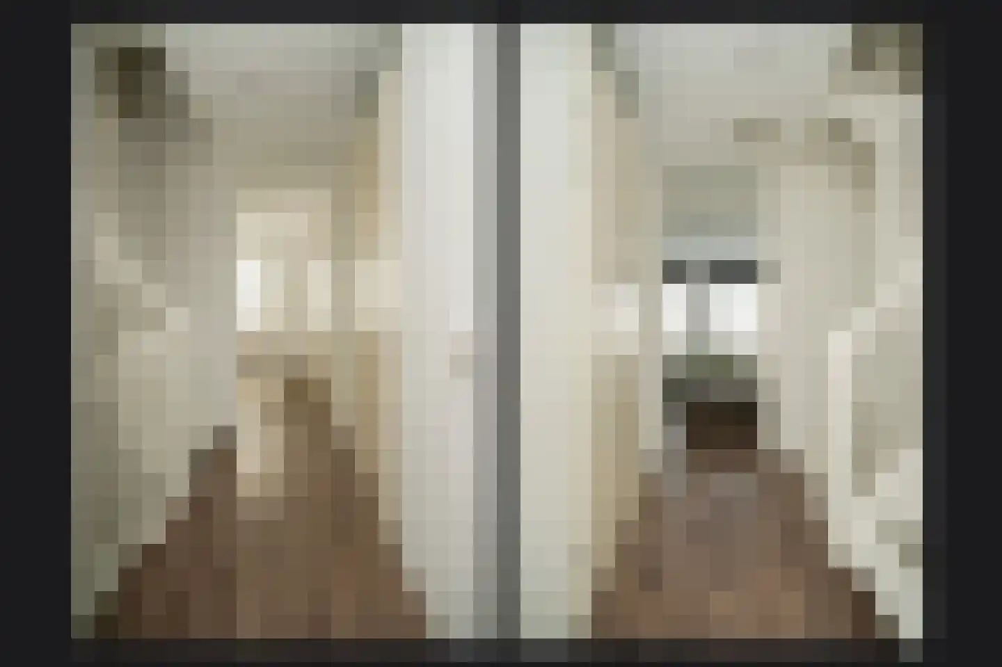 Josinahof 11 Meteren thumbnail 23