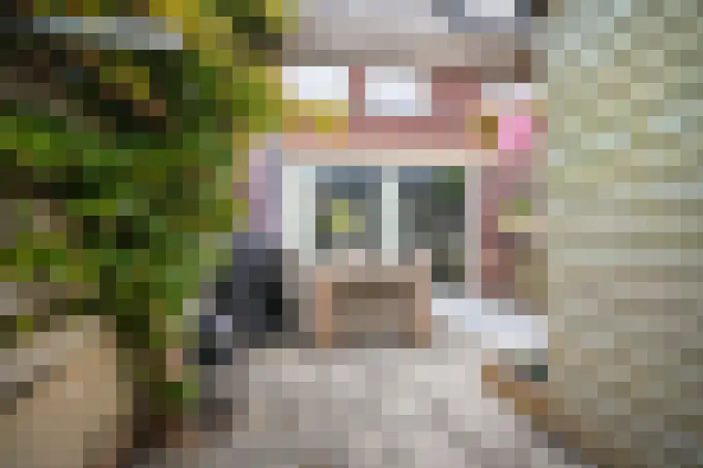 Josinahof 11 Meteren thumbnail 28